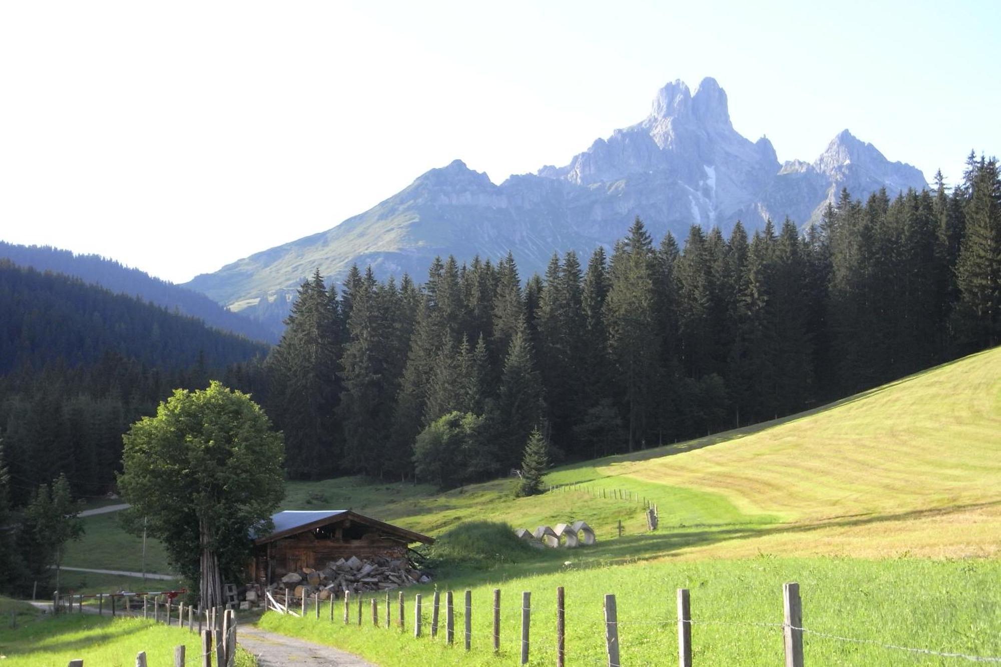 Aparthaus Birkenheim Filzmoos Esterno foto