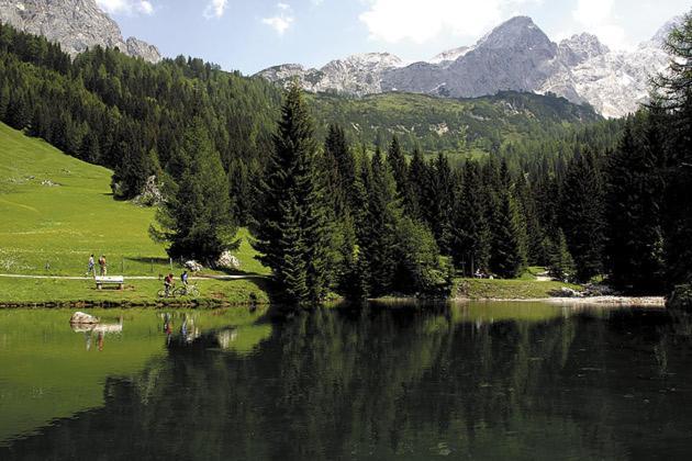 Aparthaus Birkenheim Filzmoos Esterno foto